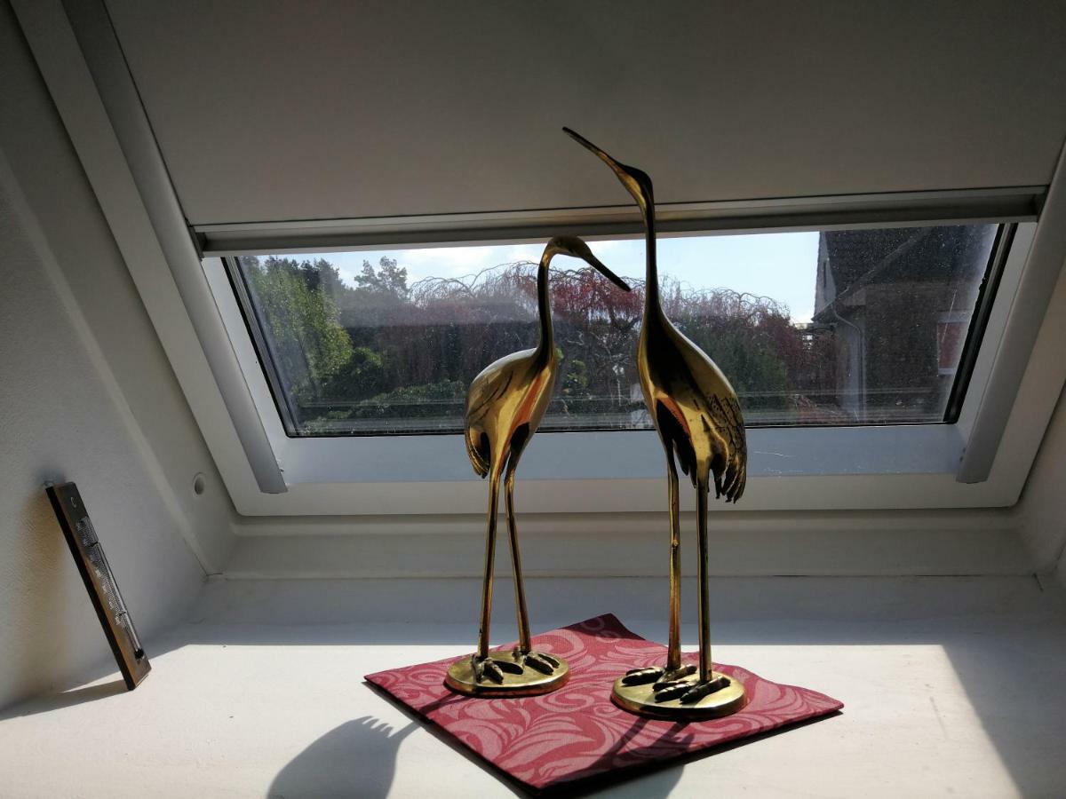 Ardea Alba Apartamento Wunstorf Exterior foto